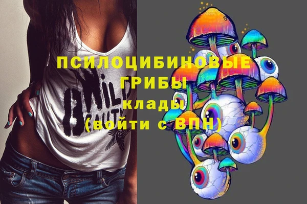 тгк Абдулино