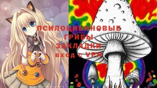 метадон Щигры