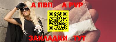 крисы Шелехов
