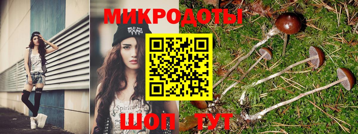 Псилоцибиновые грибы мухоморы  Вход с VPN  Азнакаево 