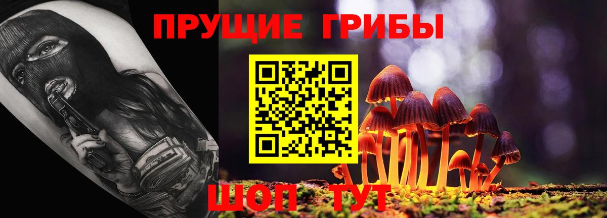 Галлюциногенные грибы GOLDEN TEACHER Азнакаево